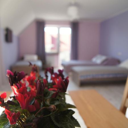 Villa Terra بروشت غداينسكي المظهر الخارجي الصورة